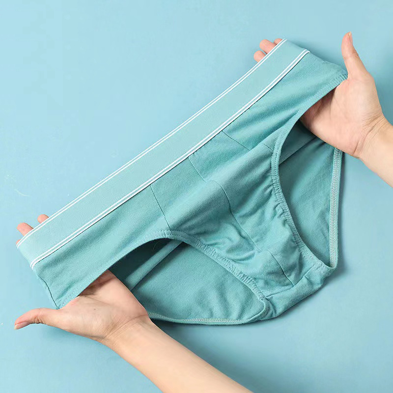 4Pcs/Lot Men's Briefs Sexy Und - đánh giá và giá Multi Pack Underwear
